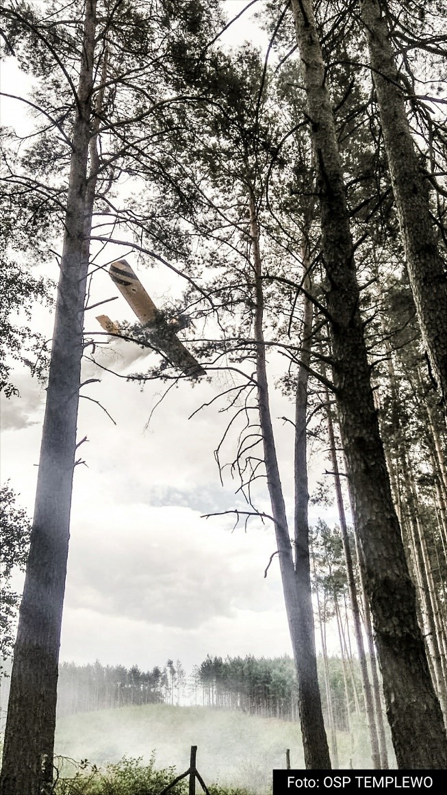 Zdjęcie samolotu zrzucającego wodę na płonący las